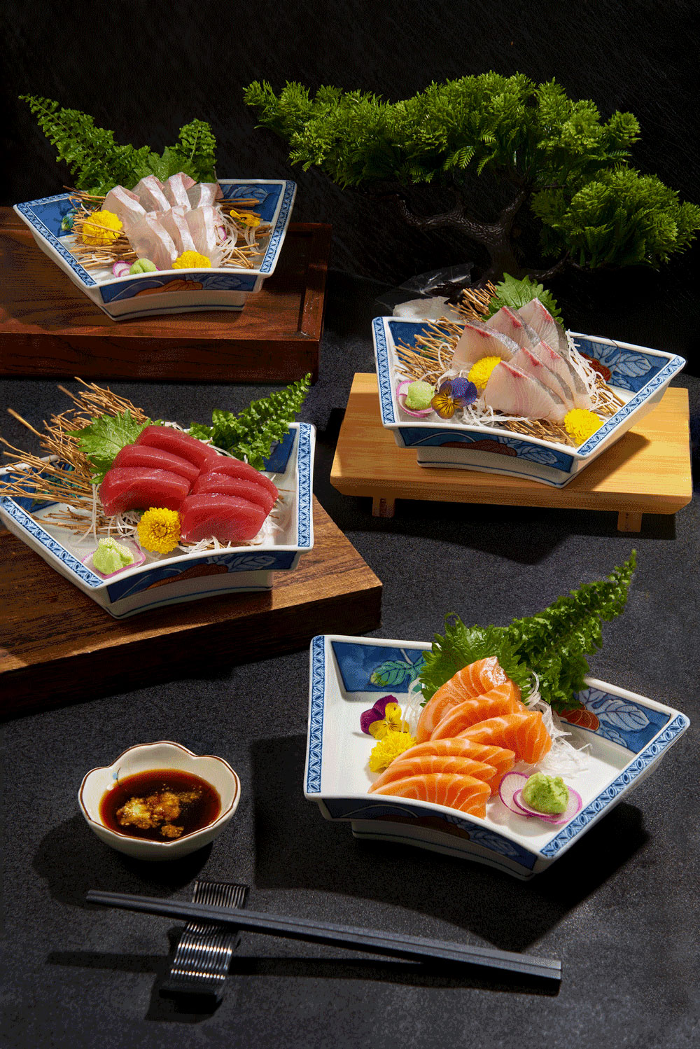 Sushi5124